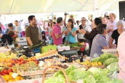 Cascais Market