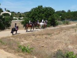 Albufeira Riding Centre