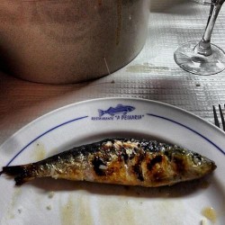 Aveiro - A Peixaria Restaurant