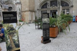 Coimbra - Café Santa Cruz