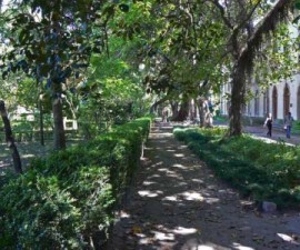 Lisbon - Botanical Garden