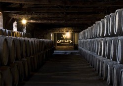 Port Wine Cellars Tour - Offley