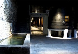 Port Wine Cellars Tour - Sandeman