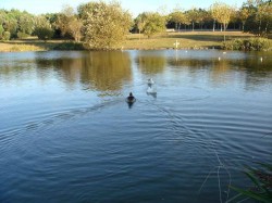 Porto - Parque da Cidade (City Park) by Joseolgon @Wikimedia.org